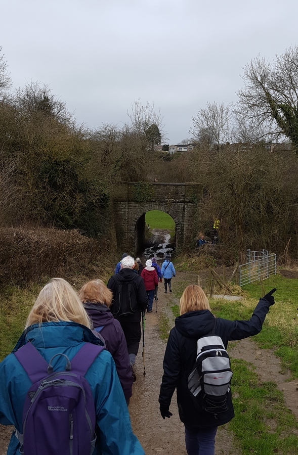 Under the railway arch